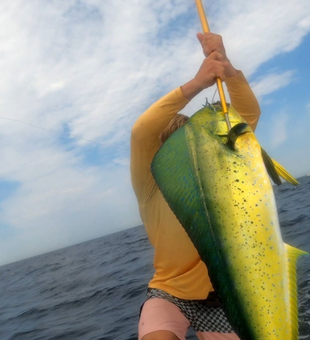 Mahi mahi fishing